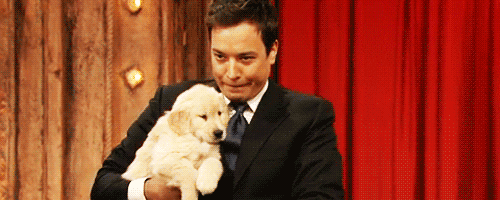Image result for jimmy fallon gif