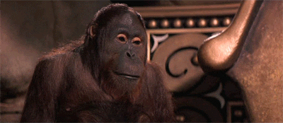 Image result for chimp facepalm gif