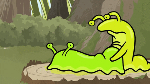 Slugs GIFs - Find & Share on GIPHY