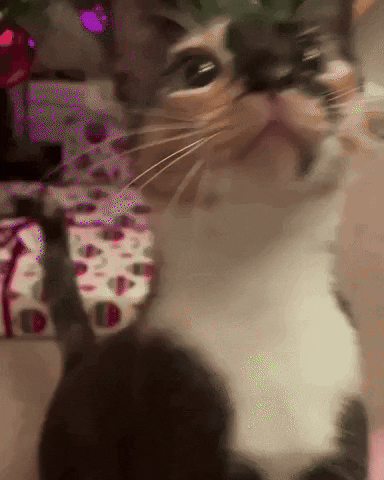 Mwah kiss