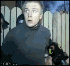 https://media.giphy.com/media/WgNQdoVfBk97q/giphy.gif