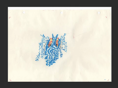 Proceso GIF