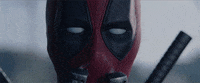 200w.gif