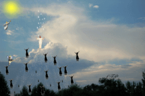 Bildergebnis für rapture animated gif
