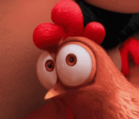 Suspicious Chicken GIF