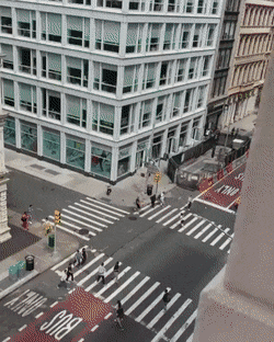 Motivation in funny gifs
