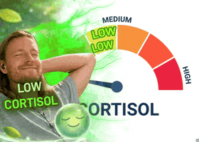 GIF low cortisol para Instagram