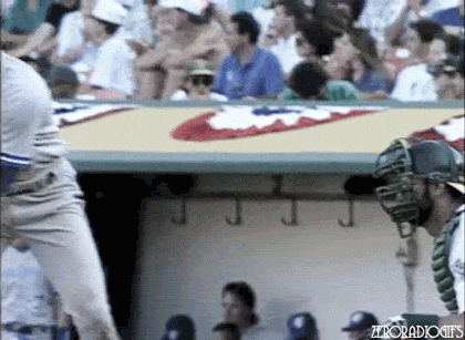 Toronto Blue Jays Baseball GIF - Find & Share on GIPHY