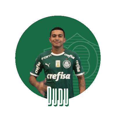 Soccer Hang Loose Sticker by SE Palmeiras for iOS & Android | GIPHY
