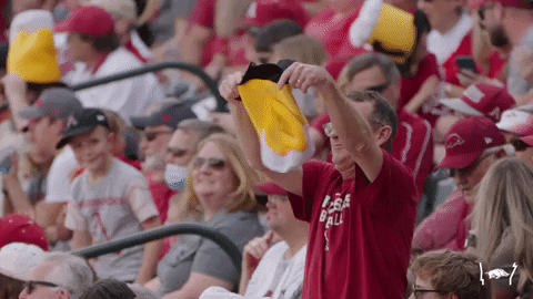Ncaa Baseball GIF by Arkansas Razorbacks - Find & Share on GIPHY