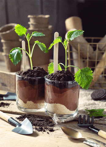 кулинарные лайфхаки, кулинарные хитрости 