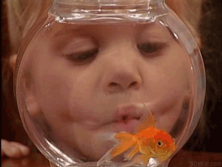 animais para crianças- criança imitando peixe