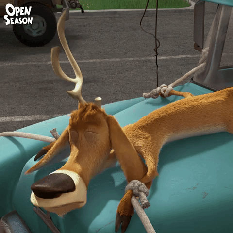 Sony Pictures Animation