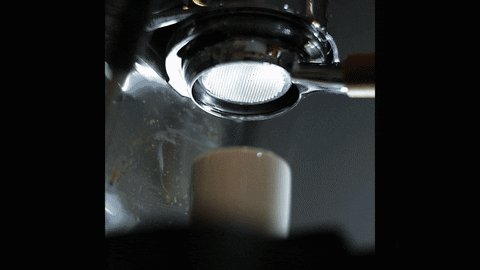 https://media.giphy.com/media/Ws5rxR4sl3Uu7Z1esw/giphy.gif
