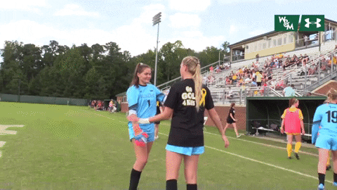 William & Mary Tribe Athletics GIF