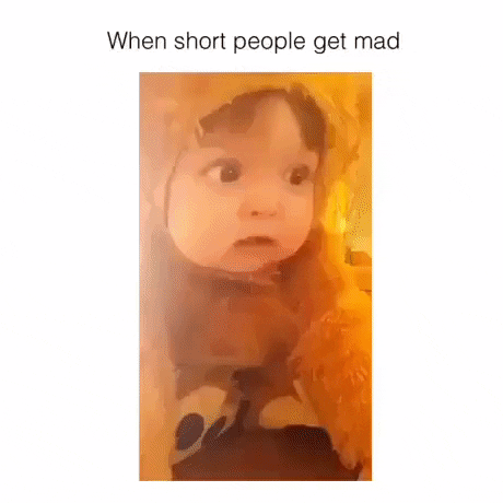 When short people get mad in funny gifs