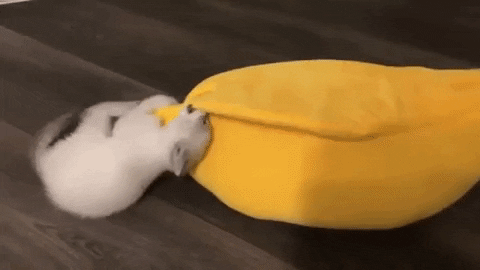 Cat Banana peel hideaway Cushion Kennel Warm Pet Basket Supplies ...