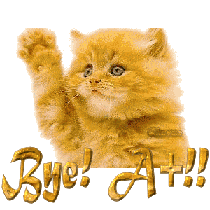 giphy.gif