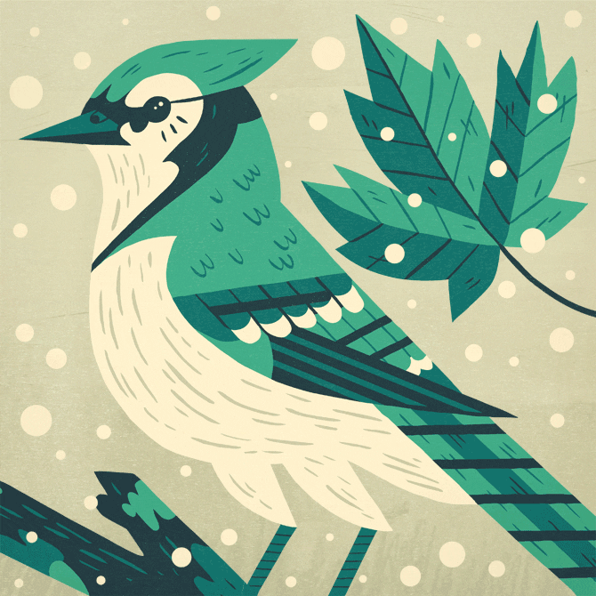 Illustration GIF Find & Share on GIPHY