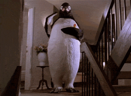pelicula pelicula