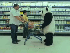 panda groceries competitive board games grocery store