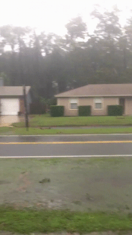 Storm GIF - Find & Share on GIPHY