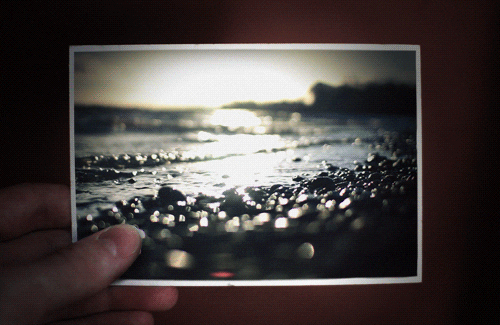 Animated GIF - Find & Share on GIPHY