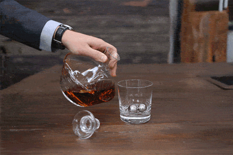 giphy.gif