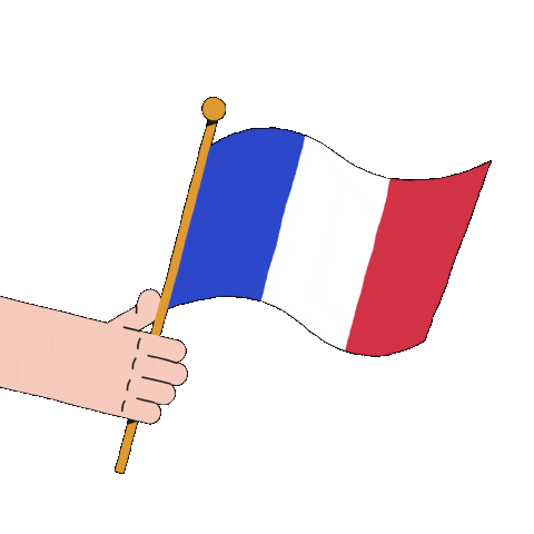 France Paris Sticker by Adrien Ghenassia for iOS & Android | GIPHY