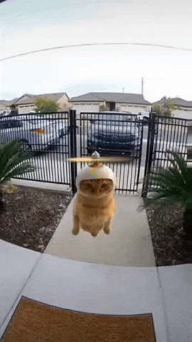 GIF