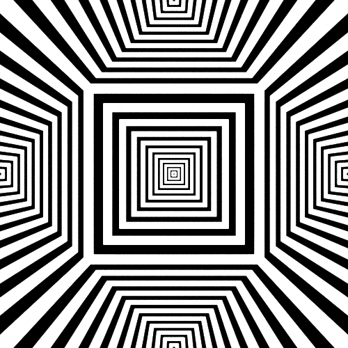 Black And White Fun GIF Find & Share on GIPHY