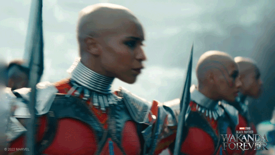 The Dora Milaje standing in formation
