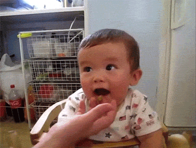 giphy.gif