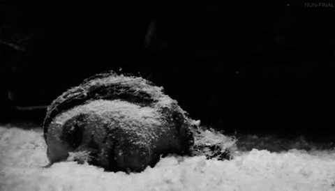 black christmas horror gif find share on giphy black christmas 1974