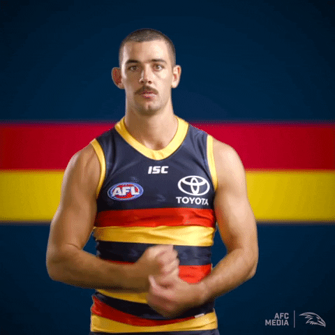 crows adelaide afc