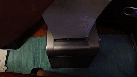 giphy.gif