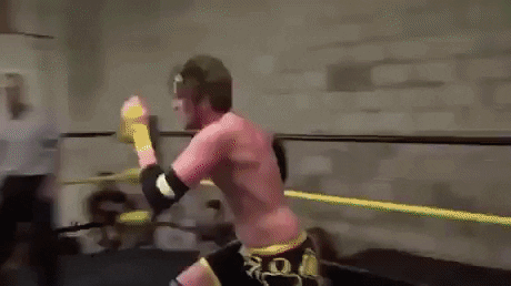 Wrestling is fake they said in funny gifs