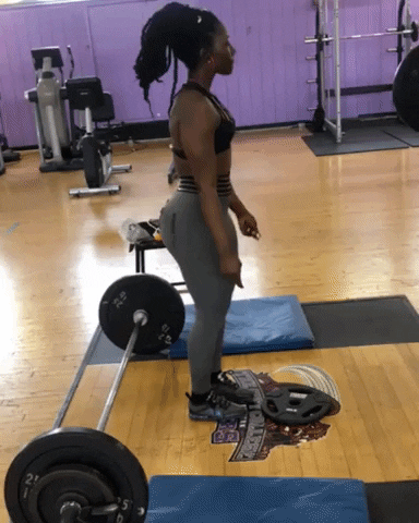 giphy.gif