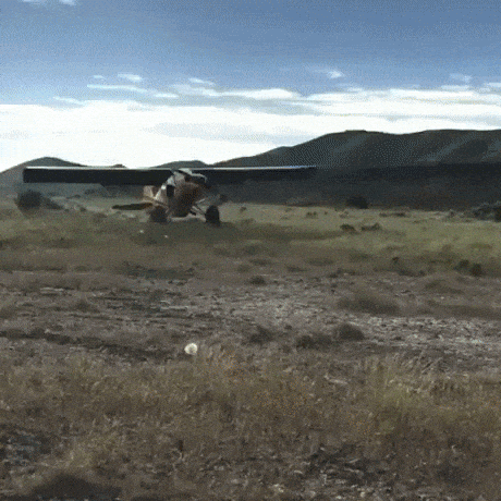 No runway no problem in wow gifs