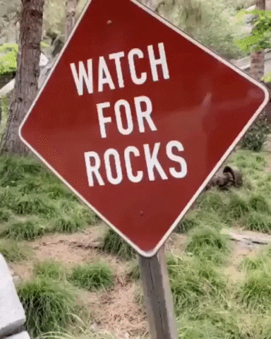 Watch for Rock in funny gifs