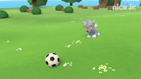 muddy pups paw patrol