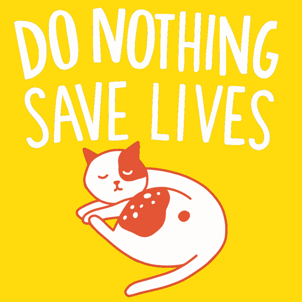 'Do nothing. Save lives' with a curled up kitty cat beneath it