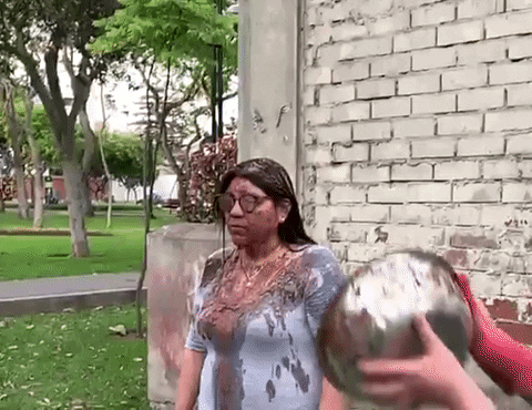 Peru Tirar GIF by Tiny Horse LLC