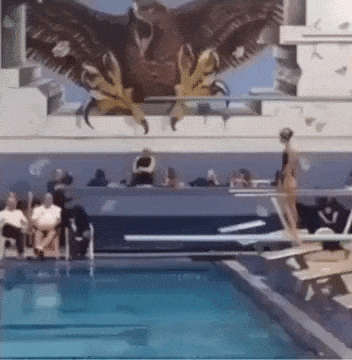 Amazing dive in funny gifs