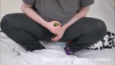 giphy.gif