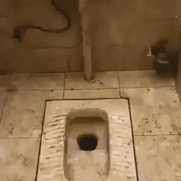 Foam cleaning in satisfying gifs