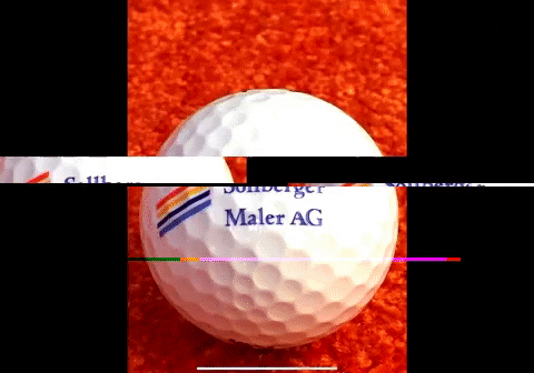 Sollberger Sandra GIF