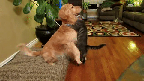 Give Me a Hug Gif