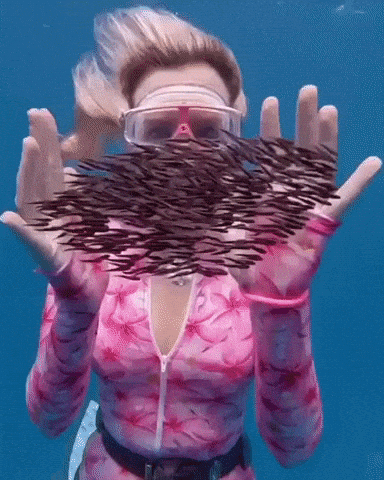Playing with a school of fish in wow gifs