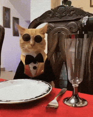 giphy-downsized-large.gif